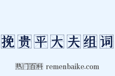 挽贵平大夫组词是什么意思的图片